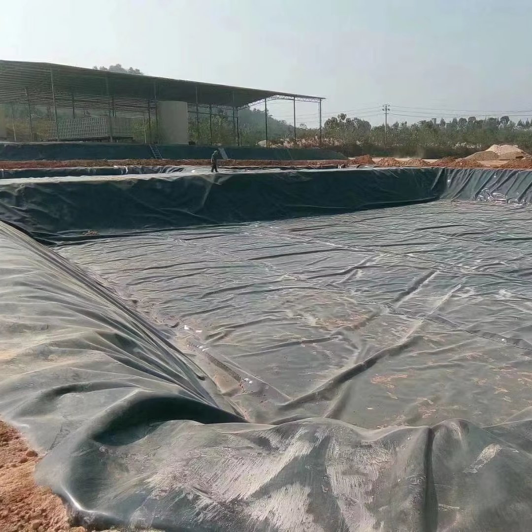 HDPE Geomembrane Geo Liner 500/8000/1000 Microns Manufacturer Anti-Seepage Impermeable HDPE Geomembrane