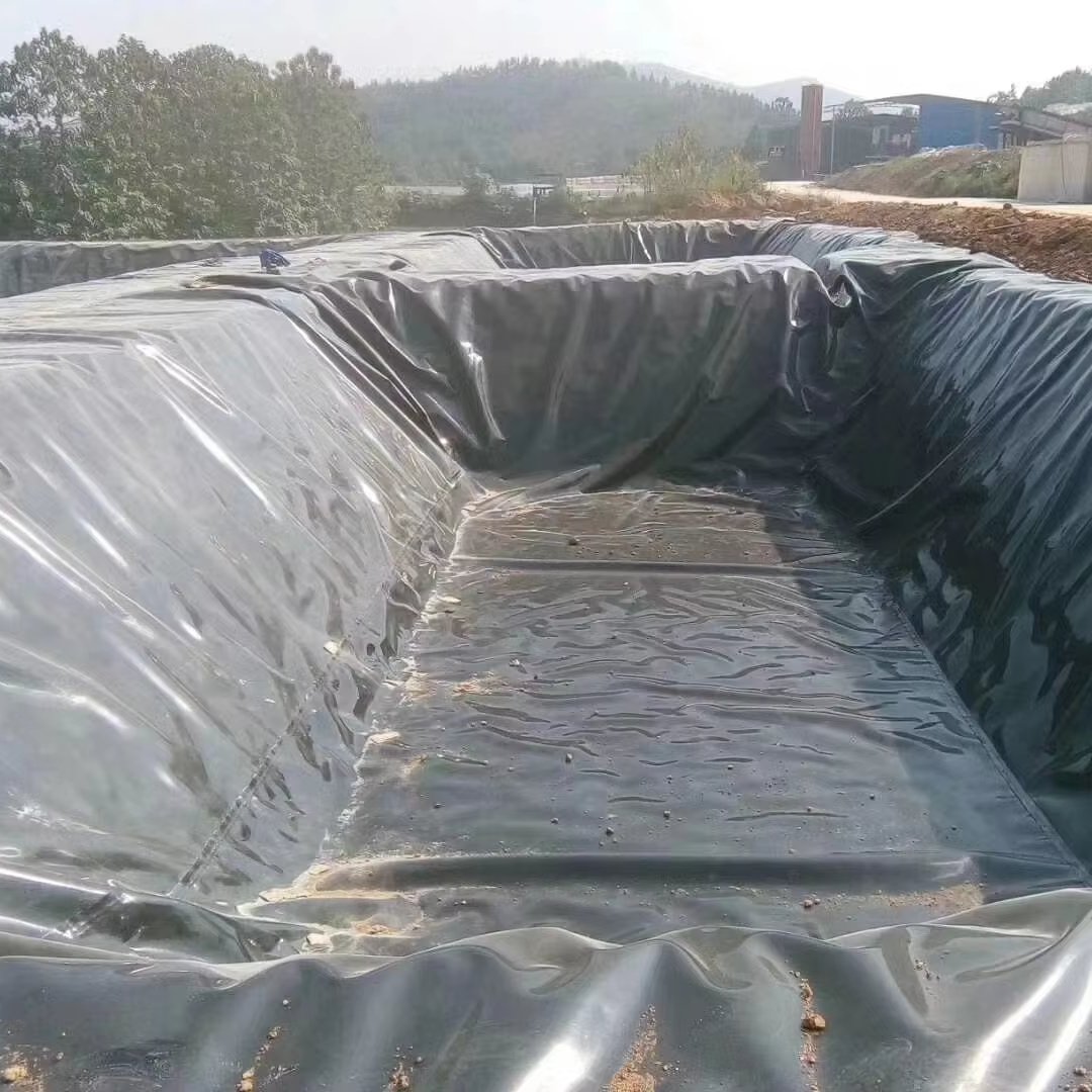HDPE Geomembrane Geo Liner 500/8000/1000 Microns Manufacturer Anti-Seepage Impermeable HDPE Geomembrane