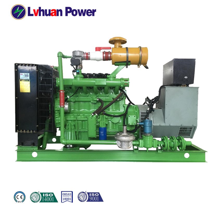 1mw Biogas Generator set Price CE ISO