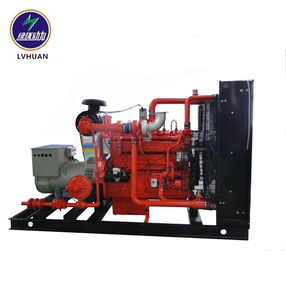 1mw Biogas Generator set Price CE ISO