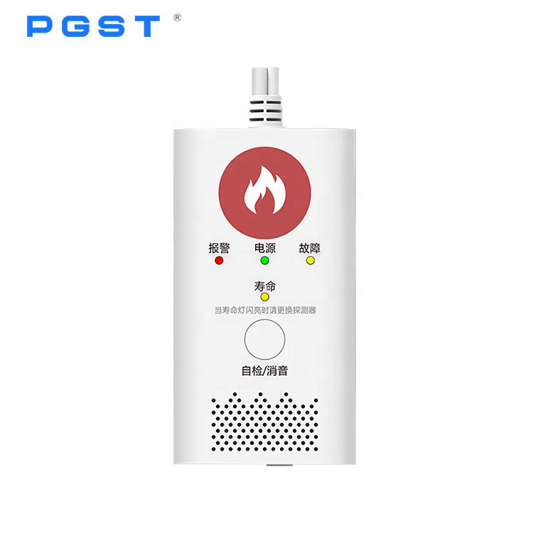 PGST CO Gas Leak Alert Detector Monoxide Detectors 220v Carbon Monoxide Detector Gas Alarm