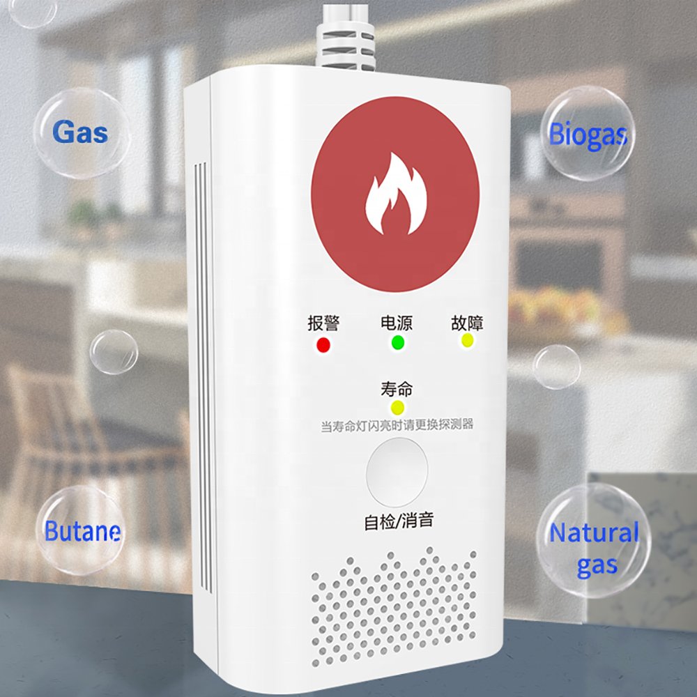 PGST CO Gas Leak Alert Detector Monoxide Detectors 220v Carbon Monoxide Detector Gas Alarm