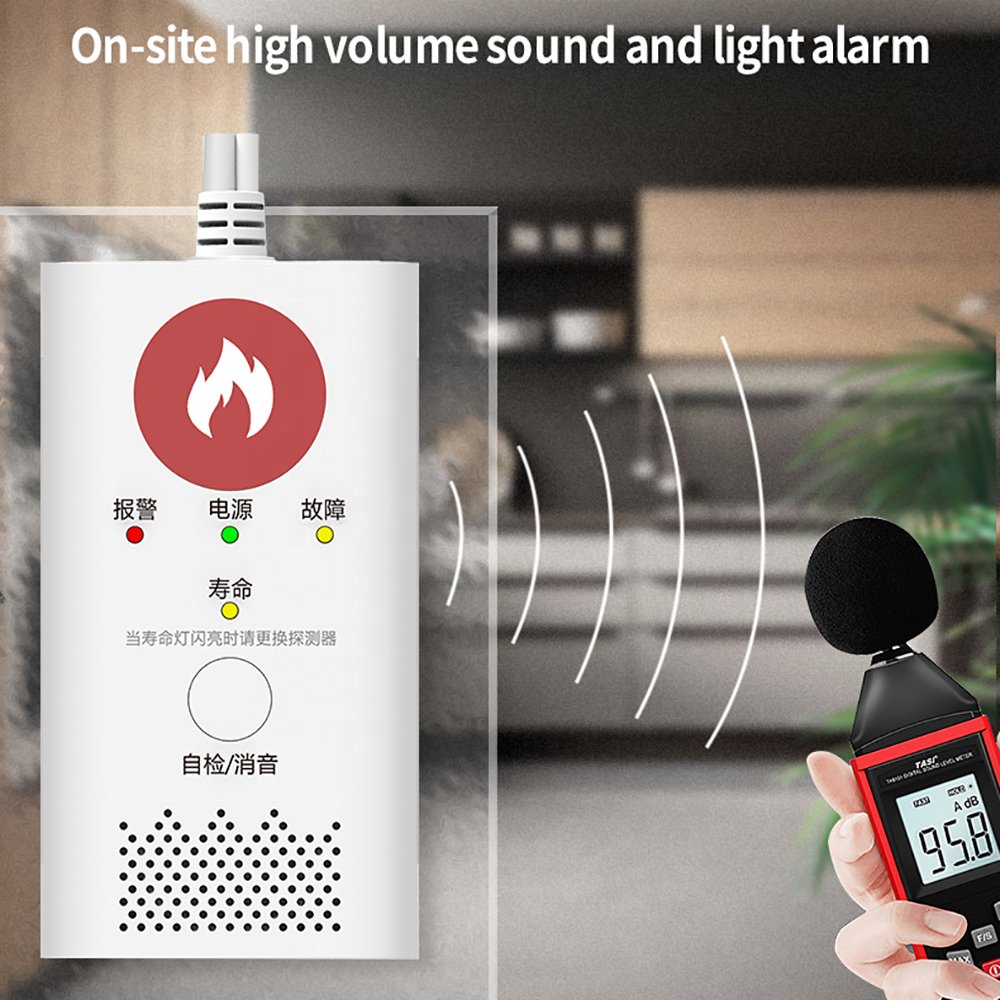 PGST CO Gas Leak Alert Detector Monoxide Detectors 220v Carbon Monoxide Detector Gas Alarm