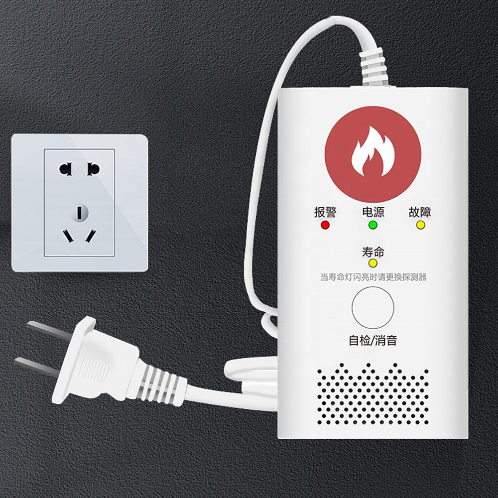 PGST CO Gas Leak Alert Detector Monoxide Detectors 220v Carbon Monoxide Detector Gas Alarm