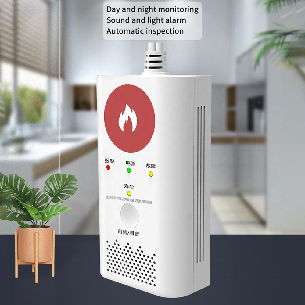 PGST CO Gas Leak Alert Detector Monoxide Detectors 220v Carbon Monoxide Detector Gas Alarm