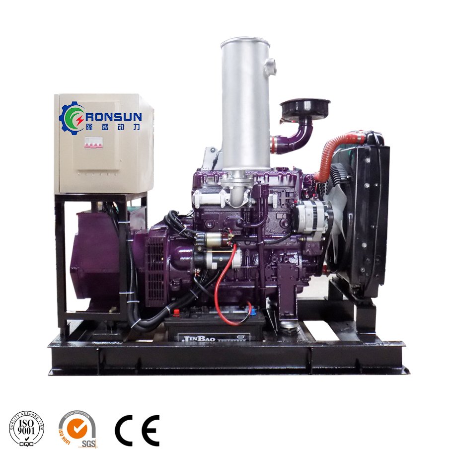 Generador de energia libre trifasico de cuatro cables Uso industrial Grupo electrogeno de biogas de 20kw Gas de veta de carbon