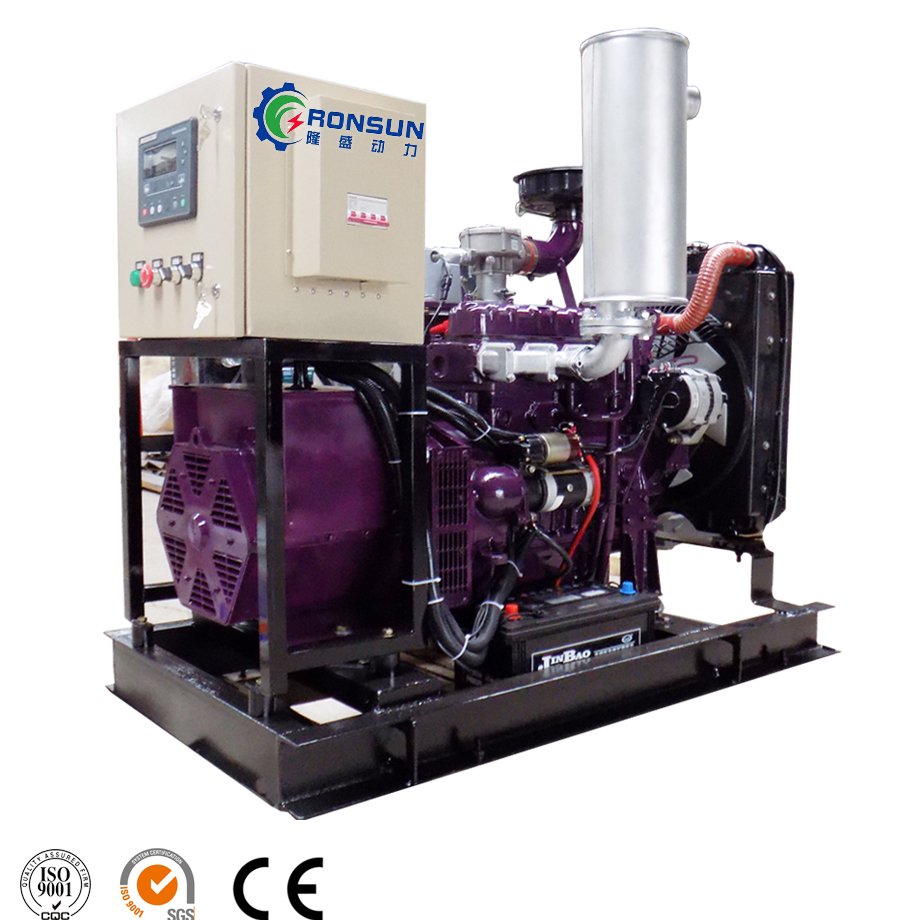 Generador de energia libre trifasico de cuatro cables Uso industrial Grupo electrogeno de biogas de 20kw Gas de veta de carbon