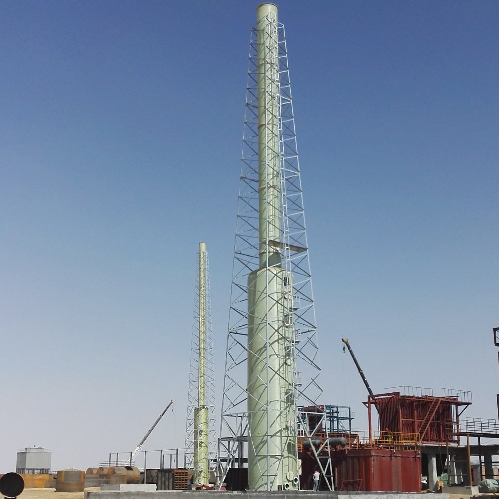 Exhaust Gas Purification Desulfurization Tower,Fgd/biogas Wet Scrubber