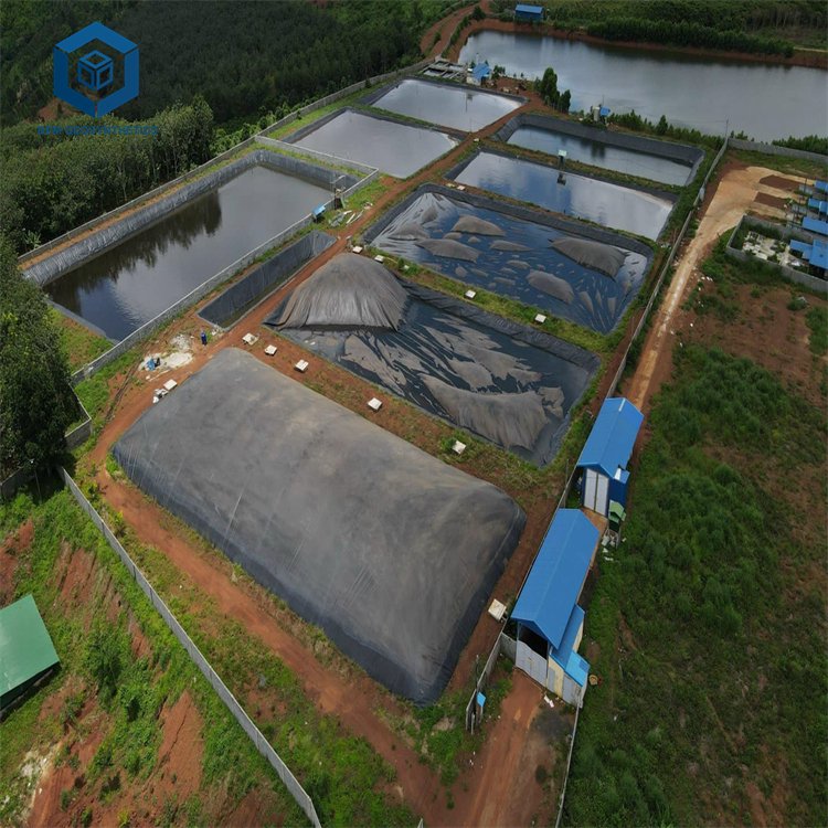 1mm 1.5 mm 2 mm HDPE Pond Membrane Liner 30 Mil 60 Mil Hdpe Liner for Biogas Digester Project in Mexico