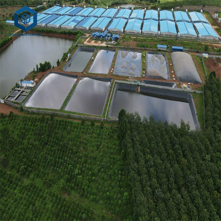 1mm 1.5 mm 2 mm HDPE Pond Membrane Liner 30 Mil 60 Mil Hdpe Liner for Biogas Digester Project in Mexico