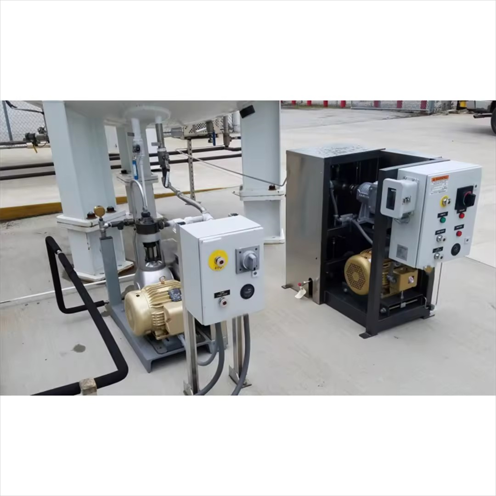 Fast Delivery Methane Purification Equipment 300Kva Long Lifespan Membrane Separation Biogas Appliances for Home Use