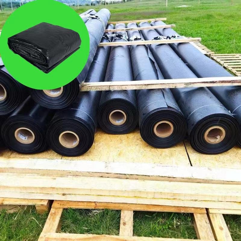 The Pig Farm Manure and Sewage Diversion Biogas Digester Project Adopts Environmentally Friendly HDPE Geomembrane Lining Board