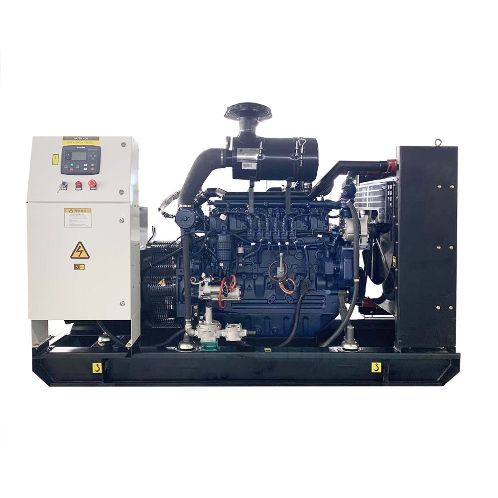 250kw-2000kw Cogeneration Unit Continuous Power Generation Biogas Natural LPG Generator set