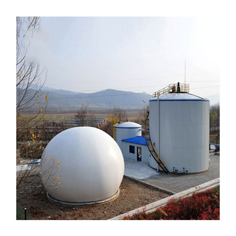 biogas plant with double membrane gas holder