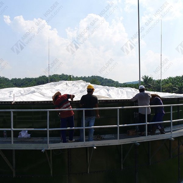 High Quality Membrane Biogas Storage Tank for Biogas Plant in Italy