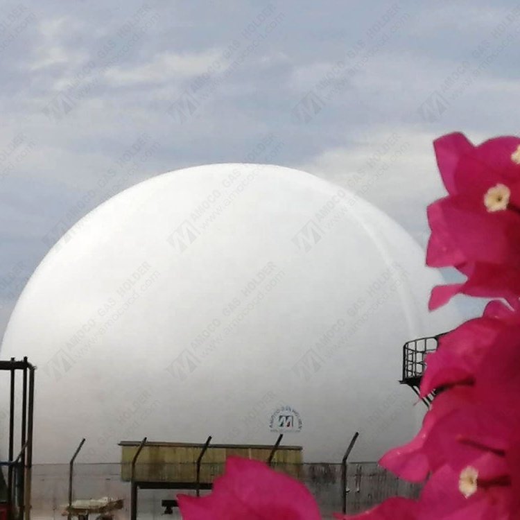 High Quality Membrane Biogas Storage Tank for Biogas Plant in Italy