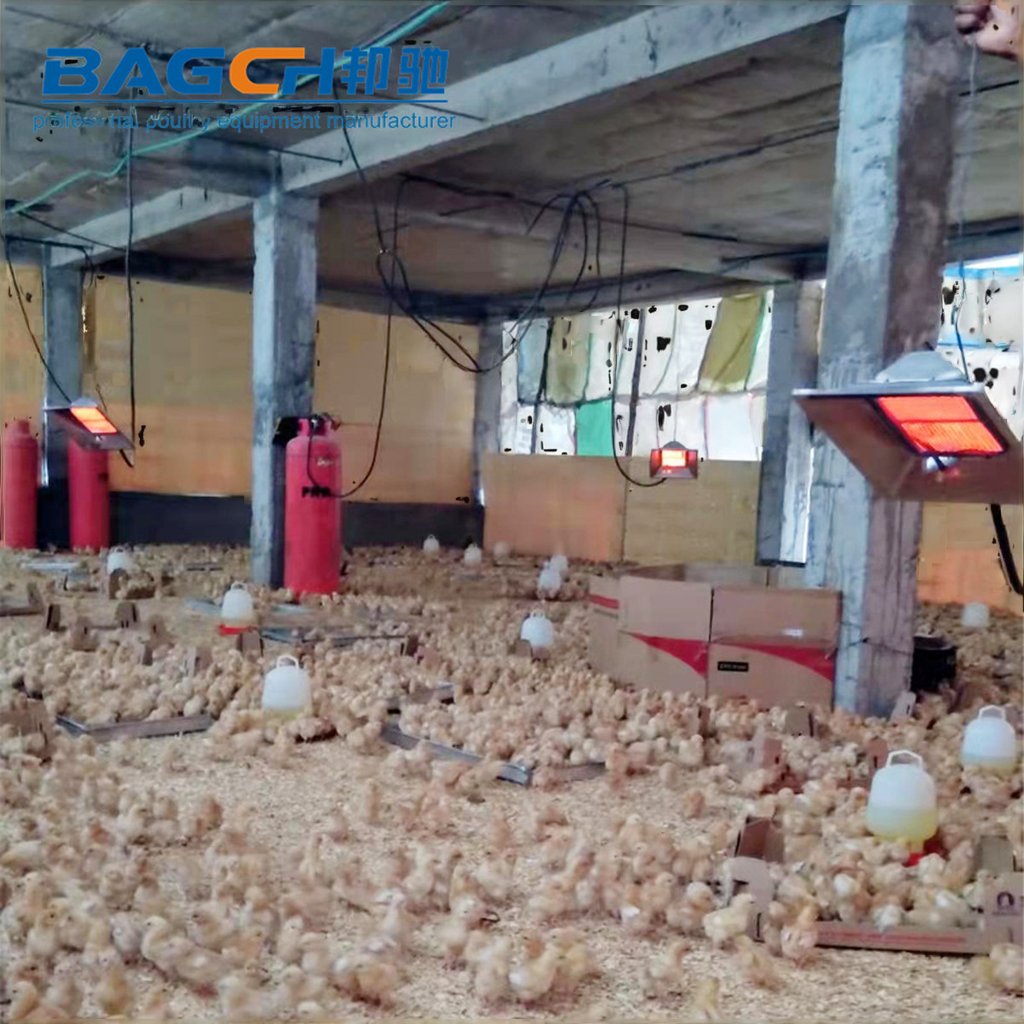 Biogas IR Radiant Ceramic Gas Heater Brooder for Poultry Farm Floor Thermostat Infrared Thermostat Chick Heating System