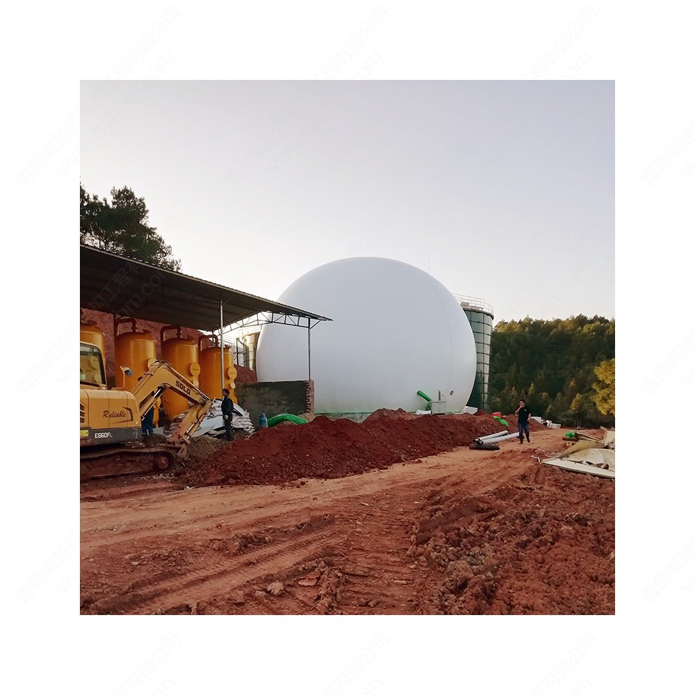 Qingdao HaiYue Factory industrial biodigester CSTR biogas storage Biogas digester waste treatment plants