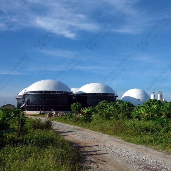 Automatic Controlled Membrane Biogas Storage Tank/Biogas Balloon/Gas Holder for Biogas Digester in Malaysia