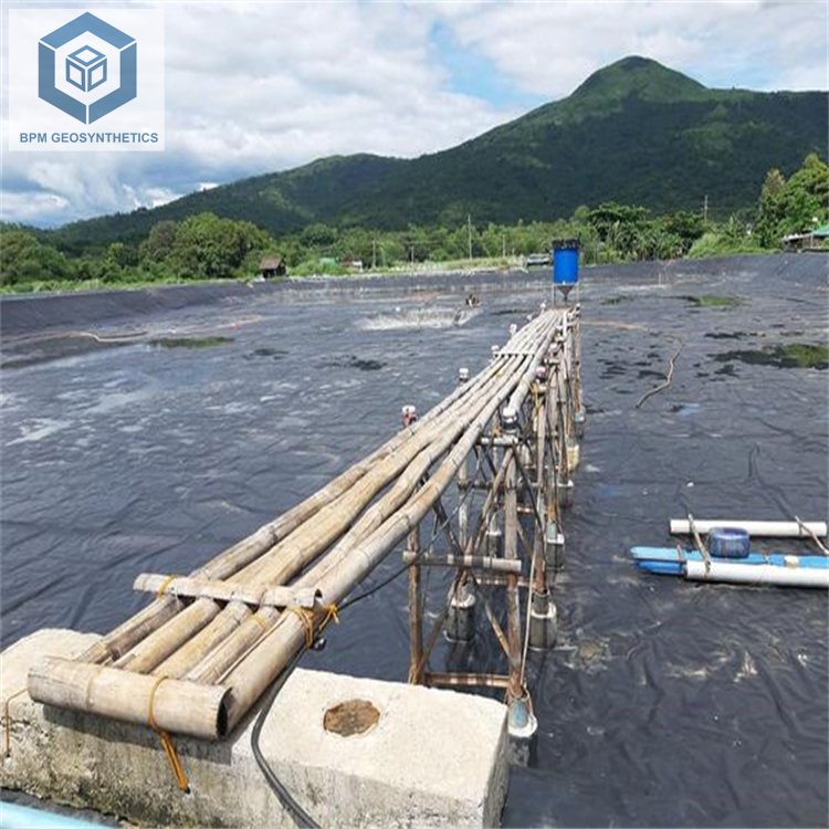 HDPE LDPE LLDPE PVC EPDM 1mm Dam Fish Farm Pond Liner 1.5mm 2mm Landfill Biodigester Liners Geomembrane