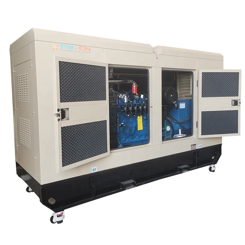 Biogas /Natural Gas/LPG Generator 100kva 150kva 200kva 250kva 300kva Silent Gas Generator