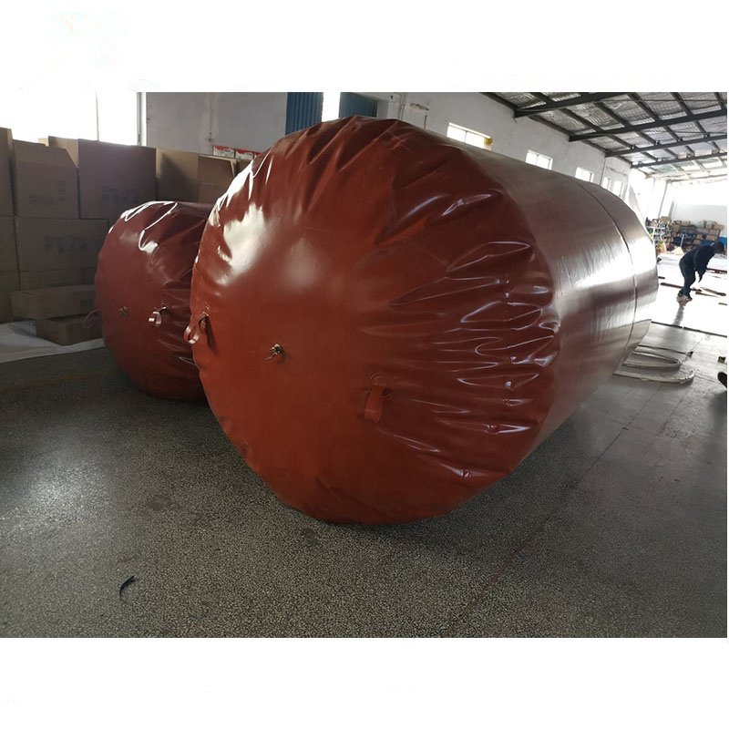 China Suppliers 20m3 50m3 100m3 2000m3 Biogas Plants For Chicken Farms Bio digester