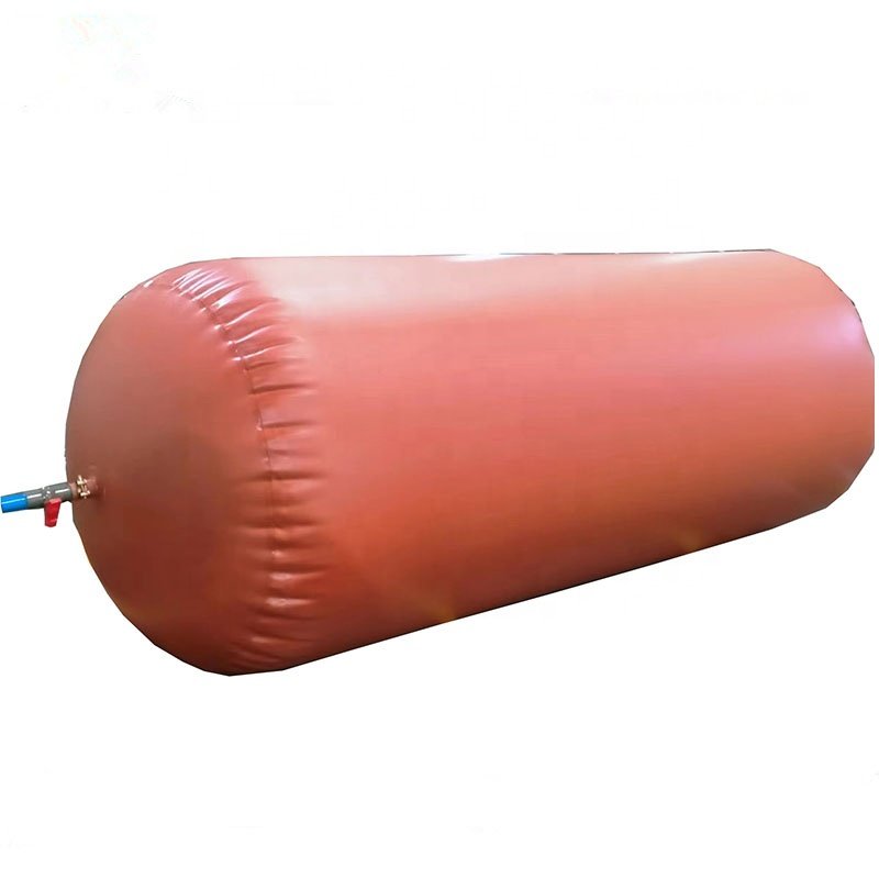 China Suppliers 20m3 50m3 100m3 2000m3 Biogas Plants For Chicken Farms Bio digester