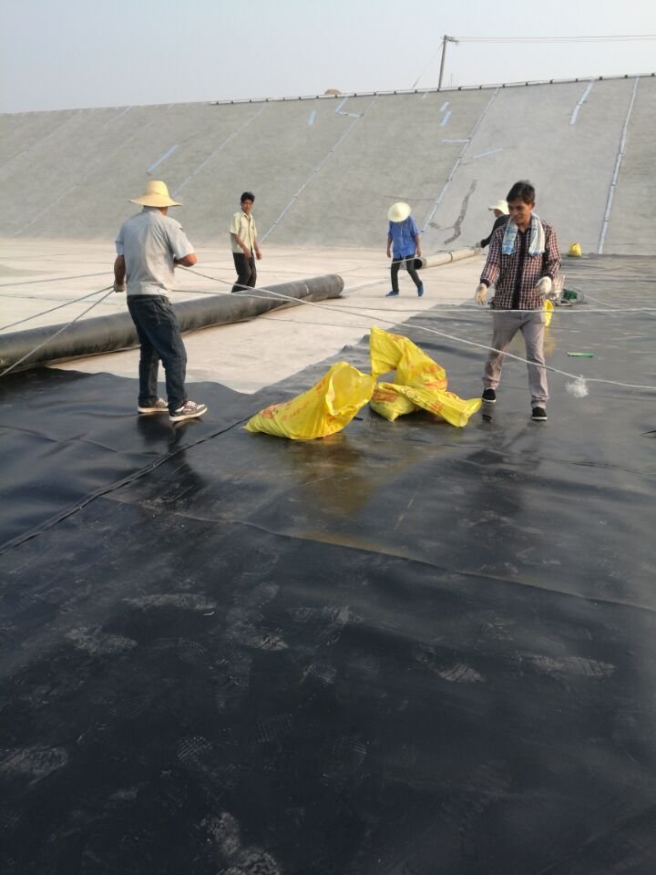 Stock Farming Biogas High Density Polyethylene Pond HDPE Geomembrane Liner