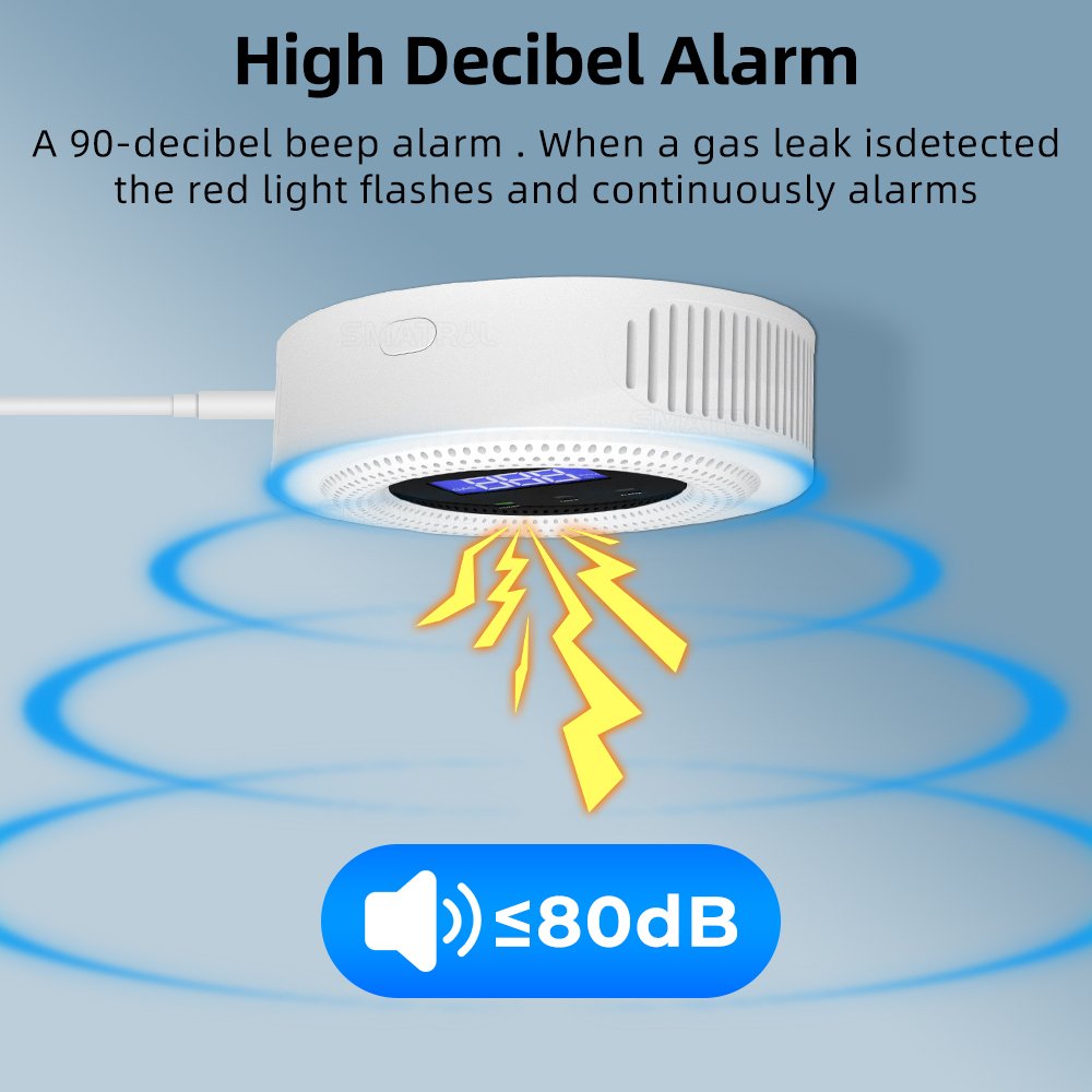 Household kitchen App Alarm Detector Leakage USB Powered Safety Smart Home Tuya Wifi Smart Natural Gas Sensor