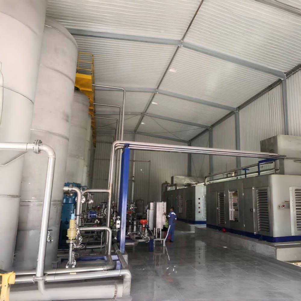 High Purity Methane Extraction Equipment 93%-95% Simple Process PSA Biogas Purification Equipment for Home Use