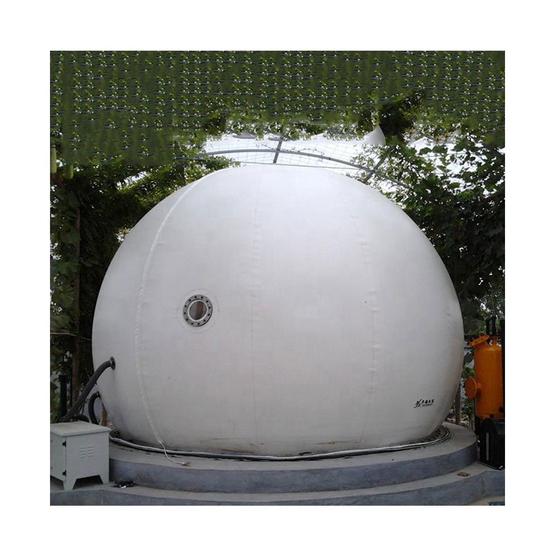 Biogas anaerobic tank with double membrane gas holder