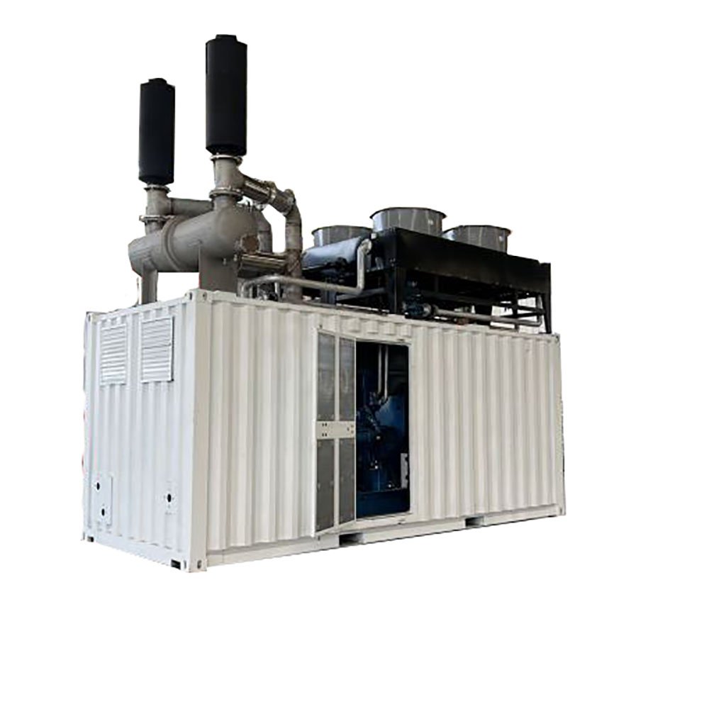 2Mw Natural Gas Generator Price