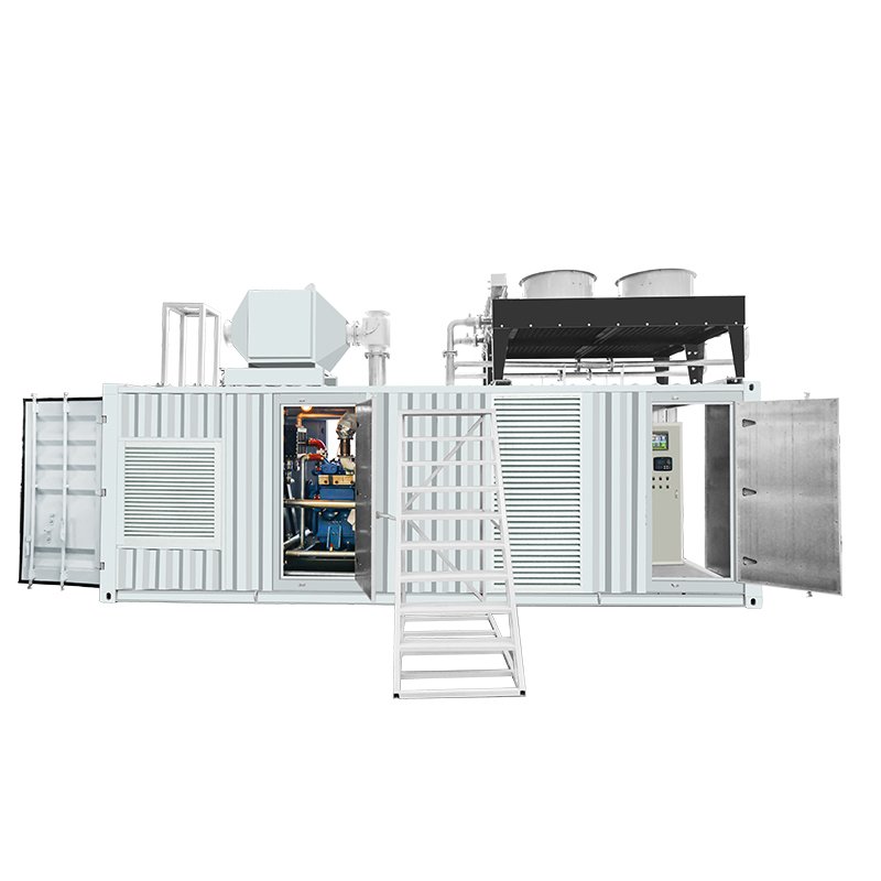 180kW/200kW/250kW/300kW Gas Generator Container Power Station with Yuchai engine used Natural gas/Biogas