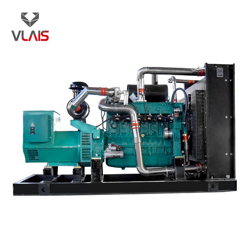 Gas Generator Set 10kw-1000kw Gas Turbine Generator with Natural Gas Biogas LPG for Electric Power Station
