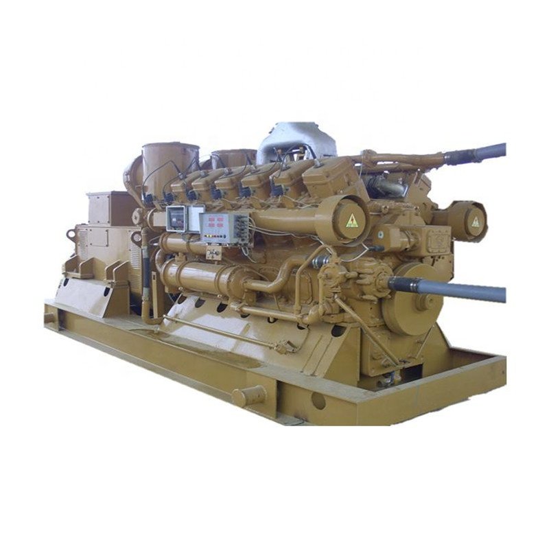 High efficiency 1mw biogas generator 1000kW bio gas generator lpg generator price for sale