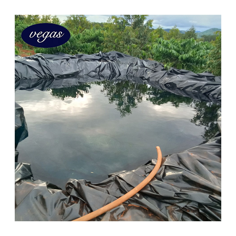 HDPE Geomembranas 60mils 1.5mm Geomembrane HDPE for Mining Project