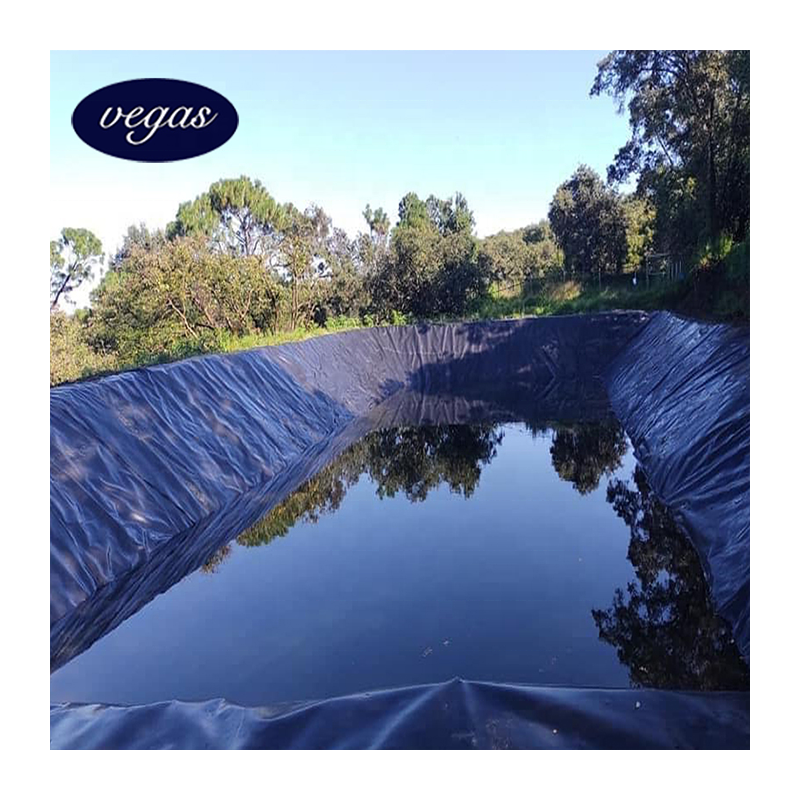 HDPE Geomembranas 60mils 1.5mm Geomembrane HDPE for Mining Project