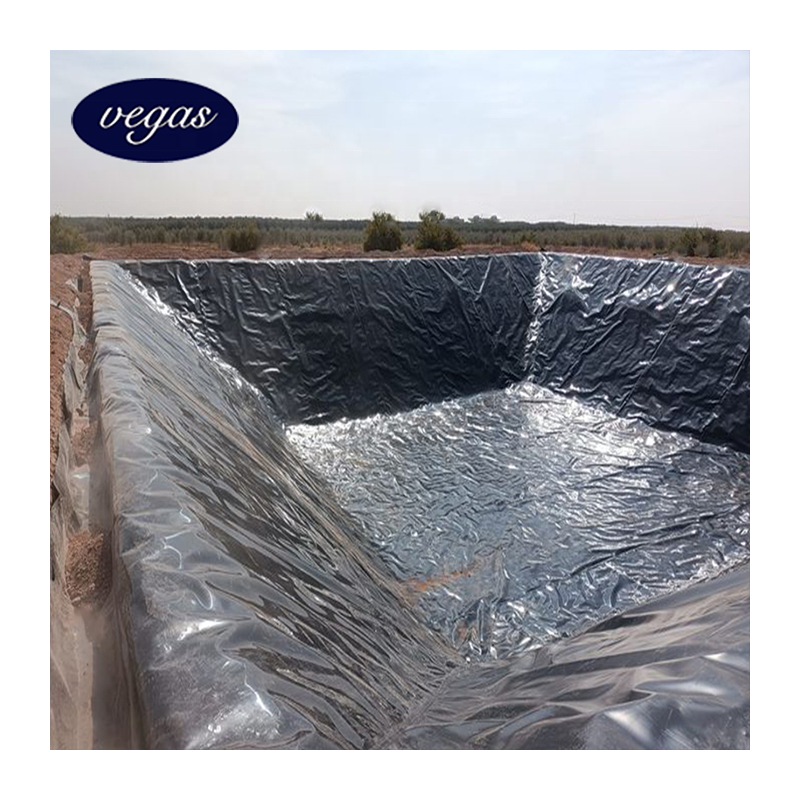 HDPE Geomembranas 60mils 1.5mm Geomembrane HDPE for Mining Project