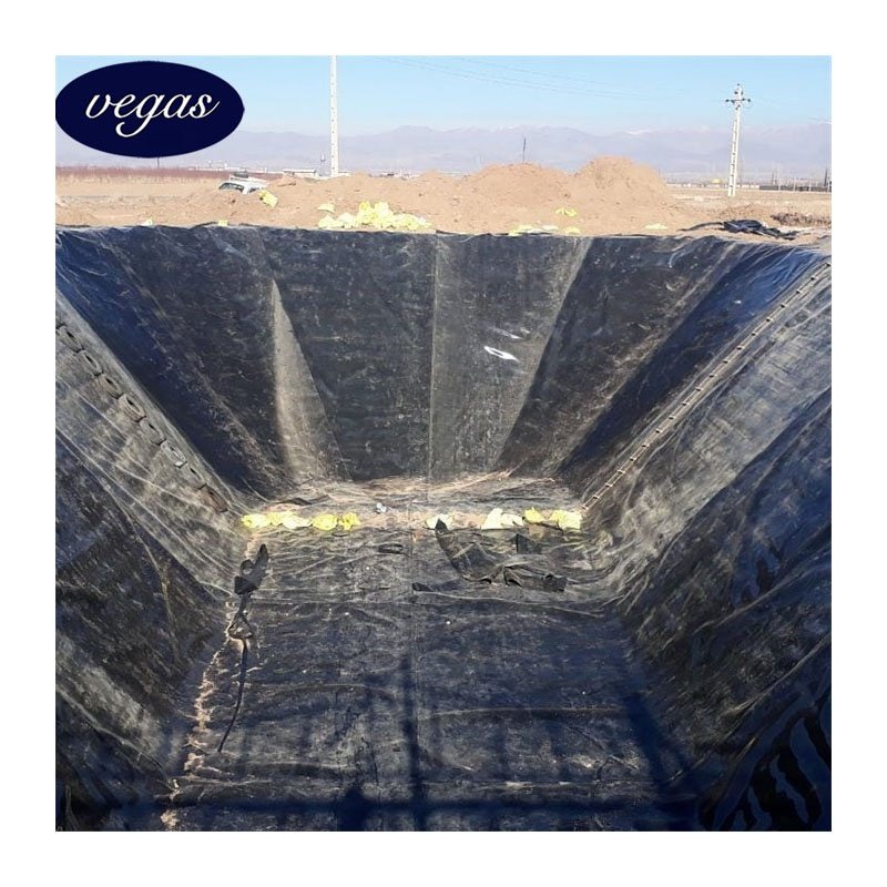HDPE Geomembranas 60mils 1.5mm Geomembrane HDPE for Mining Project