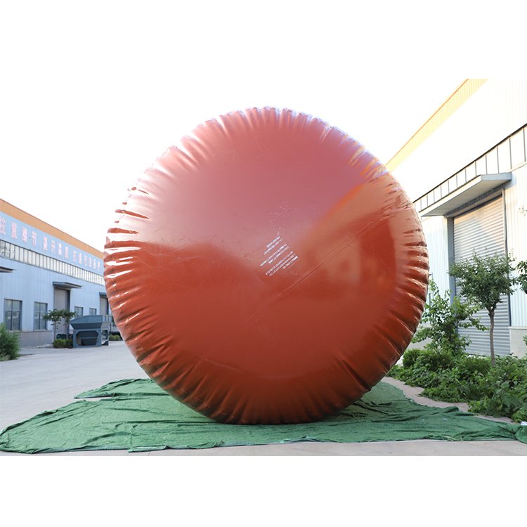 Agriculture chicken manure septic balloon tank biogas digester for home