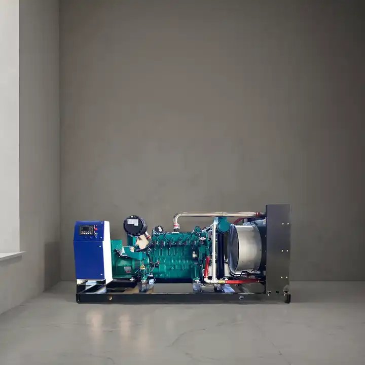 Biogas LPG Biomass Syngas Powered 30-1000 KW Three-Phase AC Gas Generators Natural Gas Engine Power Diesel Fuel 10-1000 KW Rated