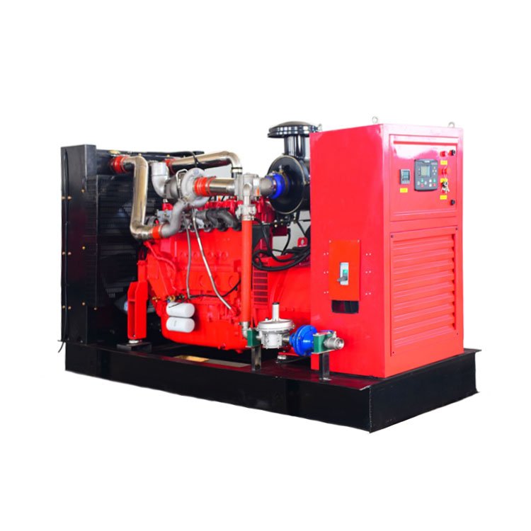 Hot Selling Digital Boost Matching With Low Waveform Distortion Rate 250KW Silent Type Methane Gas Generator