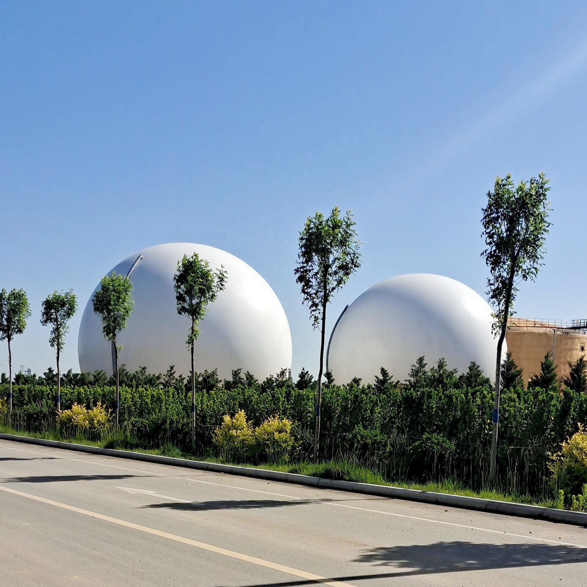 Customized Flexible Large Biogas Plant Biogas Digester For Generate Electricity