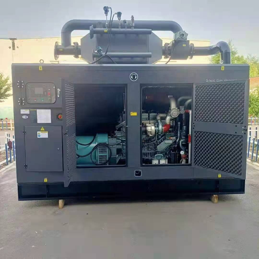 CHP/CNG /Biogas power plant /gas generator plant10-500kW