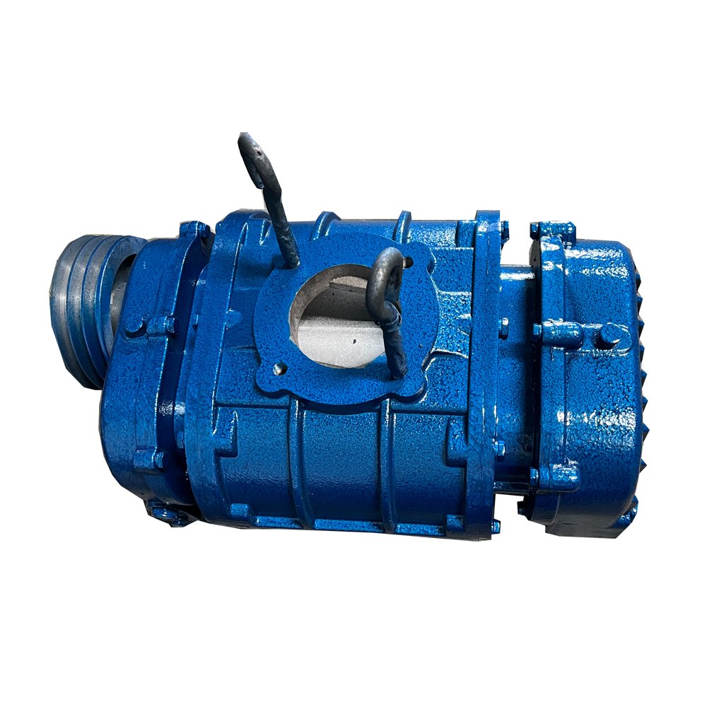 Aquaculture Air Roots Blower 10hp 5hp 3hp 7.5KW For High Stocking Fish Farming /Shrimp Hatchery and Fish Pond Bubble Oxygen