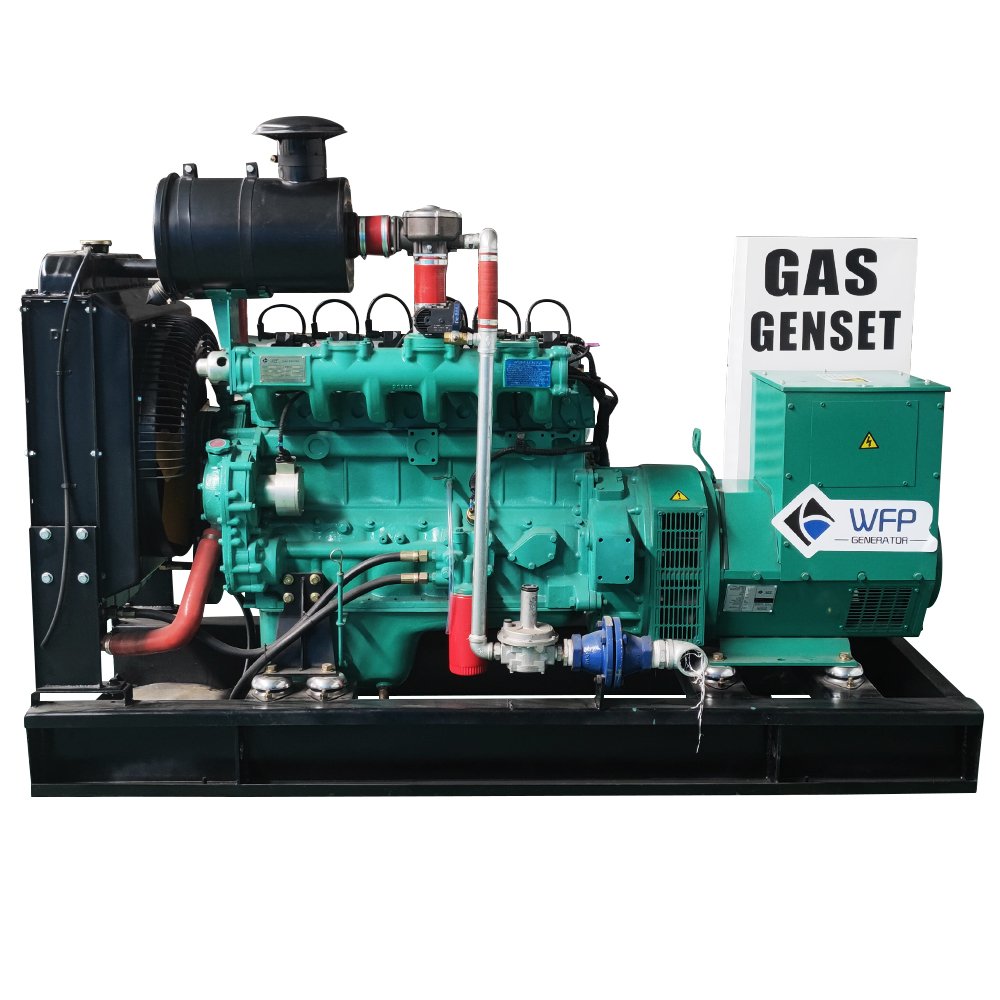 20KW 25KVA 50HZ/60HZ gas generator set, home backup wholesale generator