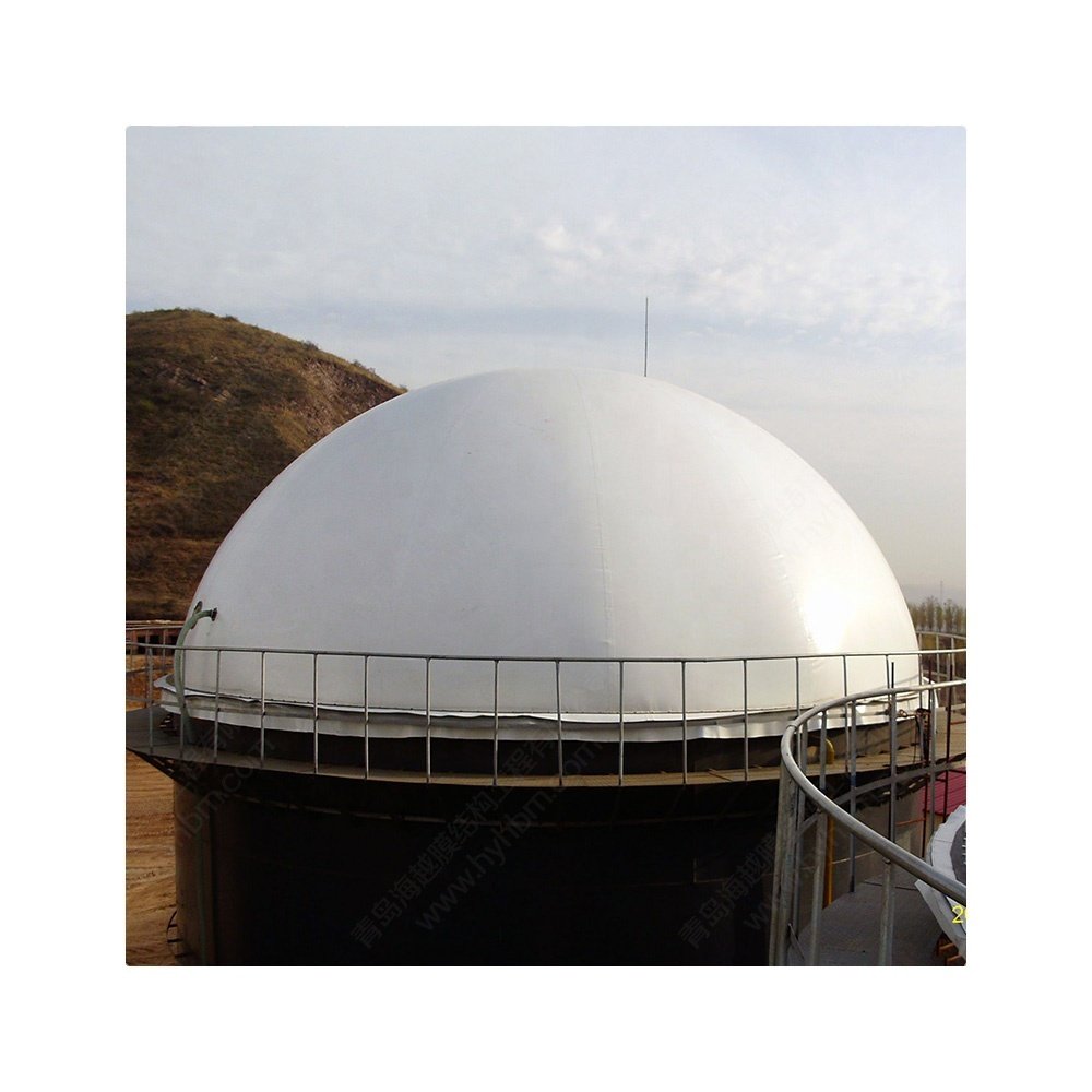 China low price biogas anaerobic digester for plant sale