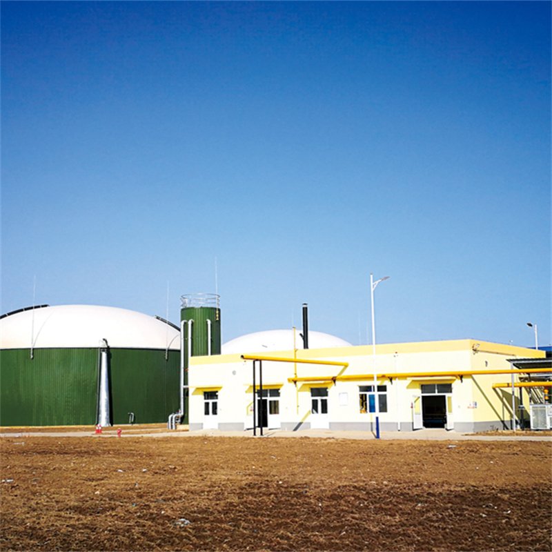 High Purity Biogas H2S Removal Less Corrosive Amine Solution Separation CO2 Removal Equipment From Biogas
