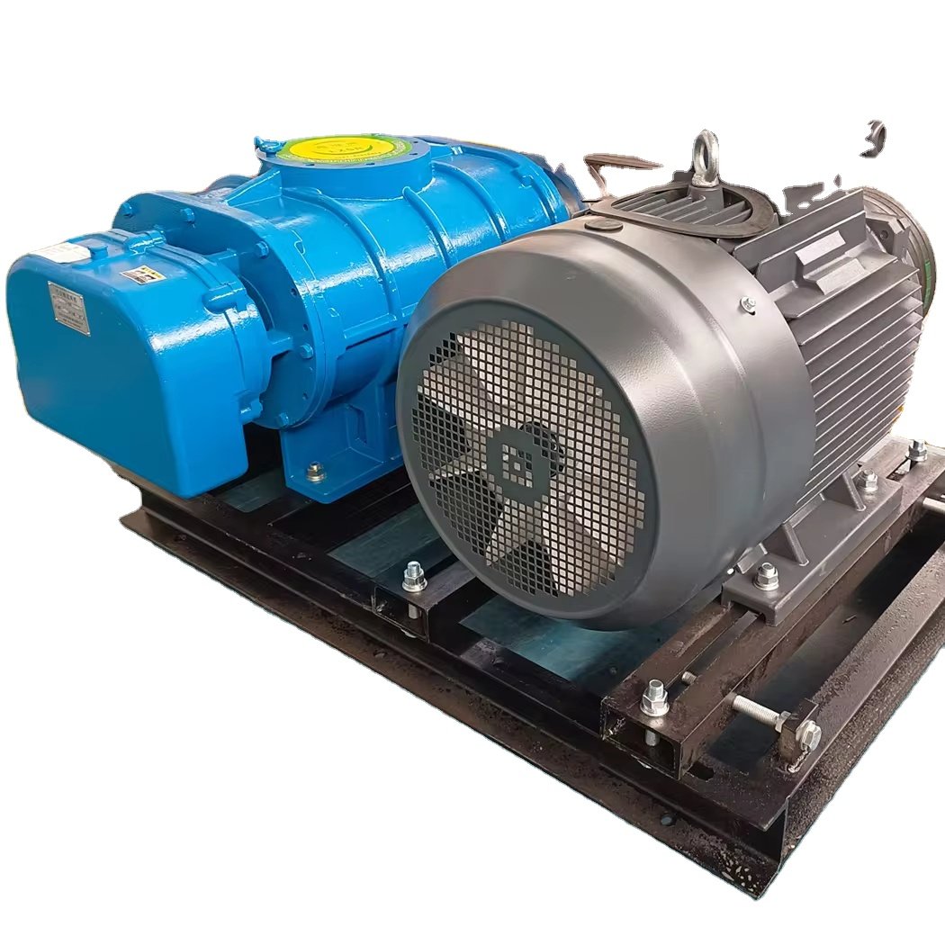 Roots Vacuum Pump low noise no vibration long service life suitable for chemical and other industries