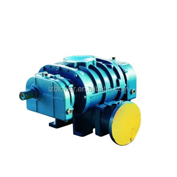 Roots Vacuum Pump low noise no vibration long service life suitable for chemical and other industries